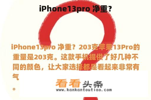 iPhone13pro 净重？