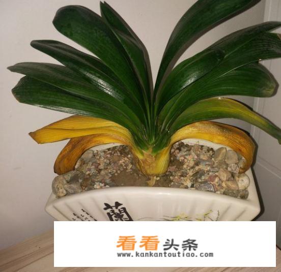 高血脂不能吃什么食物好？