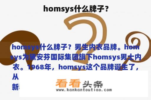 homsys什么牌子？