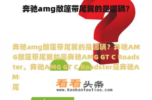 奔驰amg敞篷带尾翼的是哪辆？