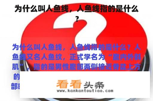 为什么叫人鱼线，人鱼线指的是什么？