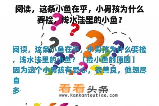 阅读，这条小鱼在乎，小男孩为什么要捡，浅水洼里的小鱼？