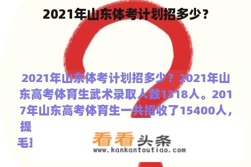 2021年山东体考计划招多少？