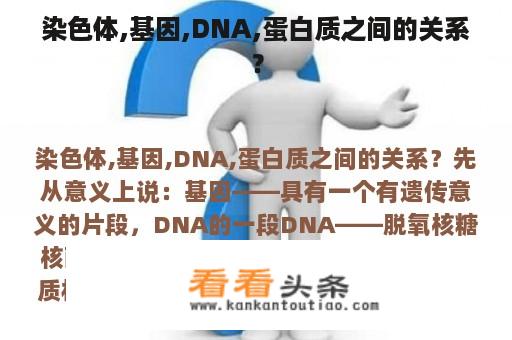 染色体,基因,DNA,蛋白质之间的关系？