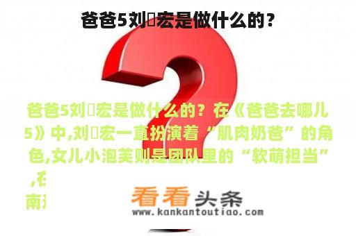 爸爸5刘畊宏是做什么的？