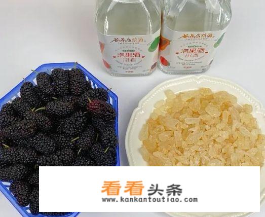 干桑葚泡酒的最佳配方？