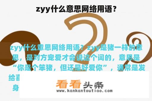 zyy什么意思网络用语？