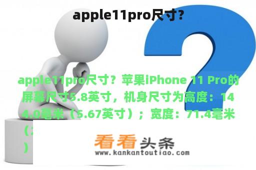 apple11pro尺寸？