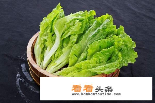 西生菜怎么种？