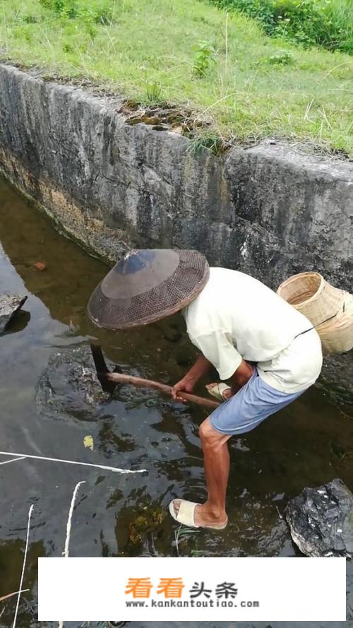 户外抓鱼的多种方法？