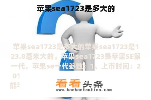 苹果sea1723是多大的