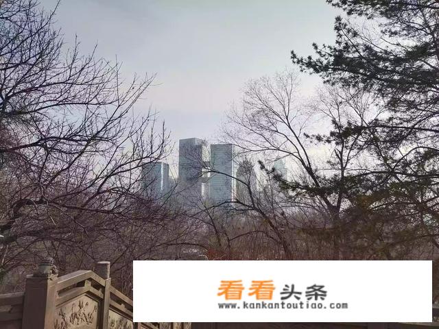 我是个五十岁的退休女士，出去旅游，想找一个同伴，有什么好的网站提供？