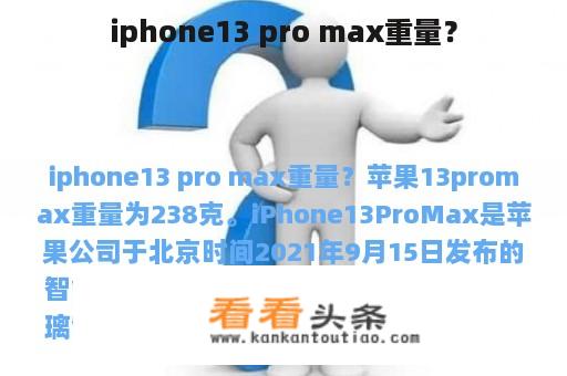 iphone13 pro max重量？