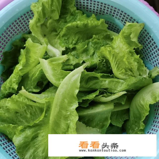 蒜蓉生菜怎么做？