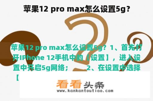 苹果12 pro max怎么设置5g？