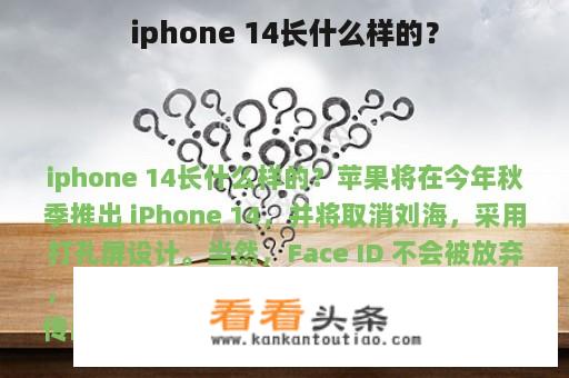 iphone 14长什么样的？