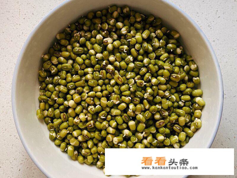 绿豆芽菜种植方法？