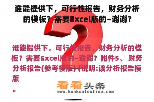 谁能提供下，可行性报告，财务分析的模板？需要Excel版的~谢谢？