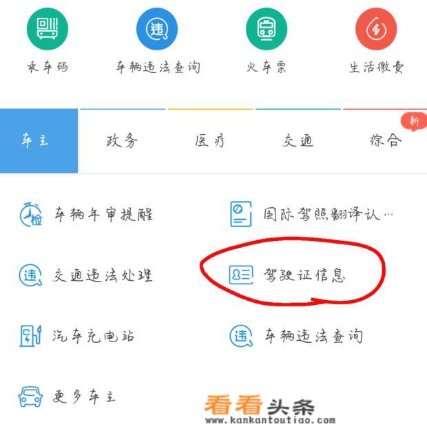 怎么在网上查自己的驾驶证信息？