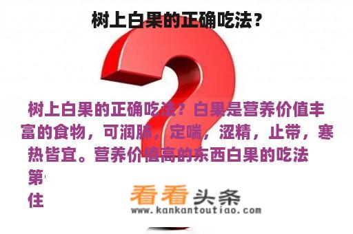 树上白果的正确吃法？