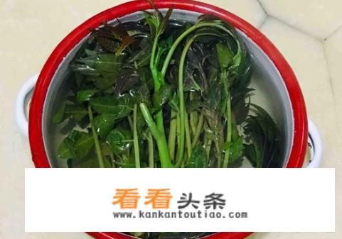 香椿炒鸡蛋怎么做？