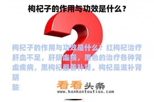 枸杞子的作用与功效是什么？