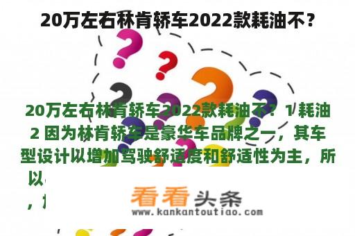 20万左右林肯轿车2022款耗油不？