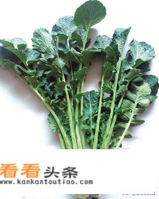 苔菜长的什么样子苔菜是什么菜？