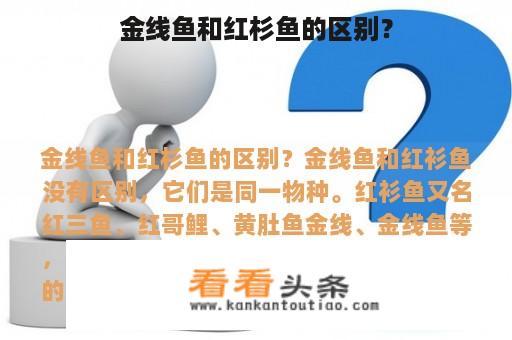 金线鱼和红杉鱼的区别？