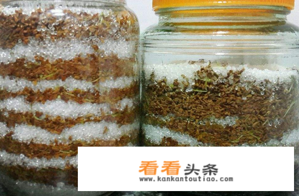 新鲜桂花怎么处理？