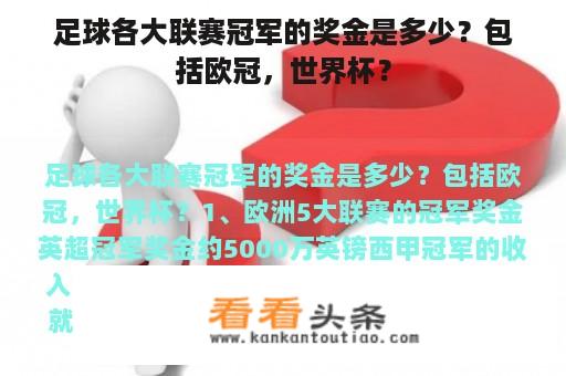 足球各大联赛冠军的奖金是多少？包括欧冠，世界杯？