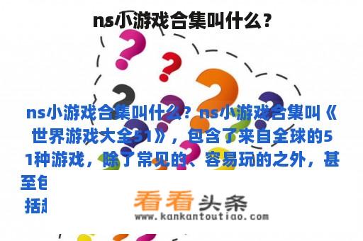 ns小游戏合集叫什么？