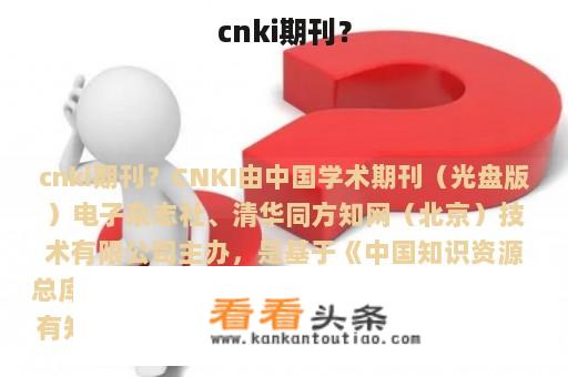 cnki期刊？