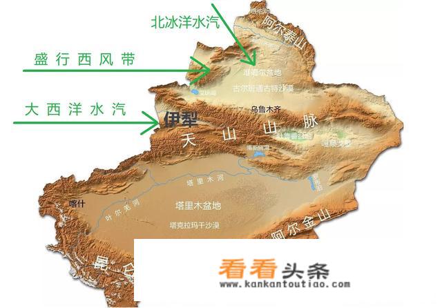 新疆的地理位置及气候特点？