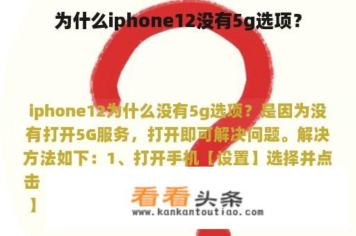 为什么iphone12没有5g选项？