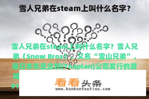 雪人兄弟在steam上叫什么名字？