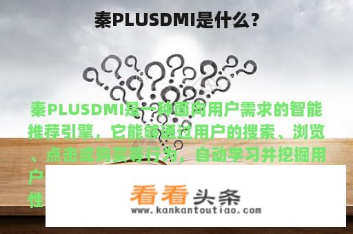 秦PLUSDMI是什么？