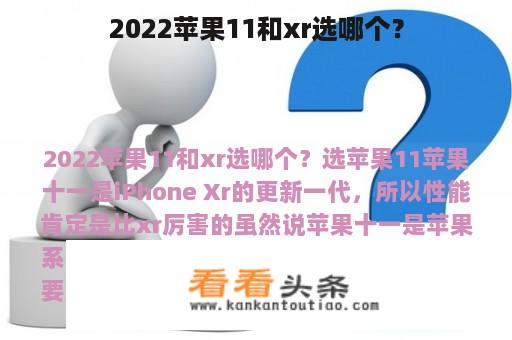 2022苹果11和xr选哪个？