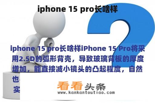 iphone 15 pro长啥样