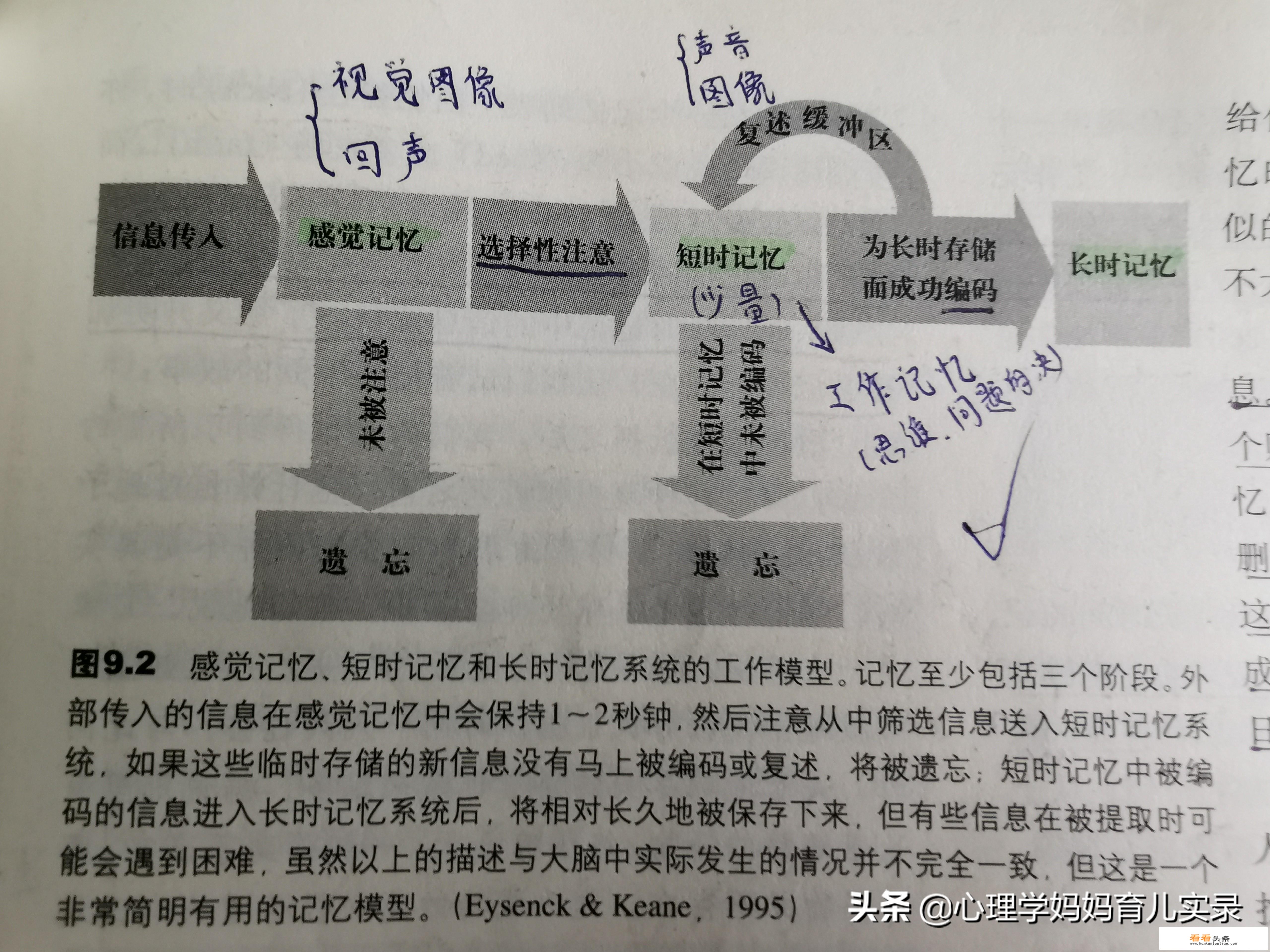 大学生学习心理学有哪些作用和好处