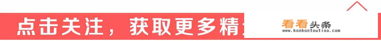 曼联“国王”坎通纳为何会飞踹场边球迷被禁赛9个月呢