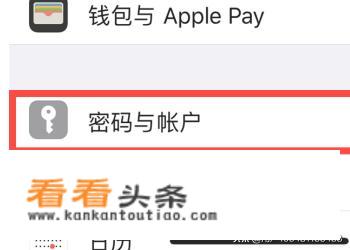 怎样查看iPhone中存储的应用密码