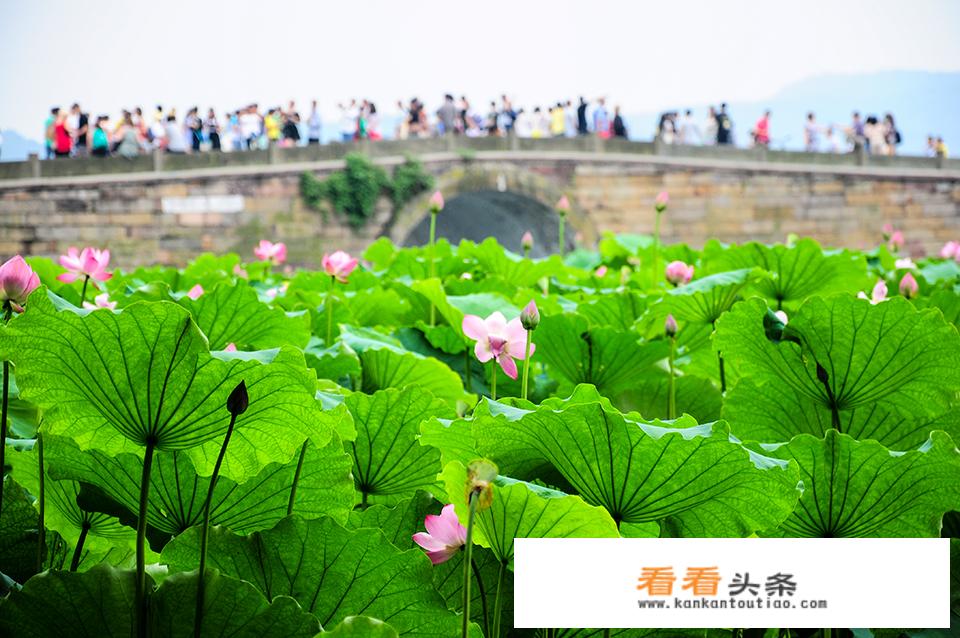 杭州和三亚，哪里更适合去旅游呢