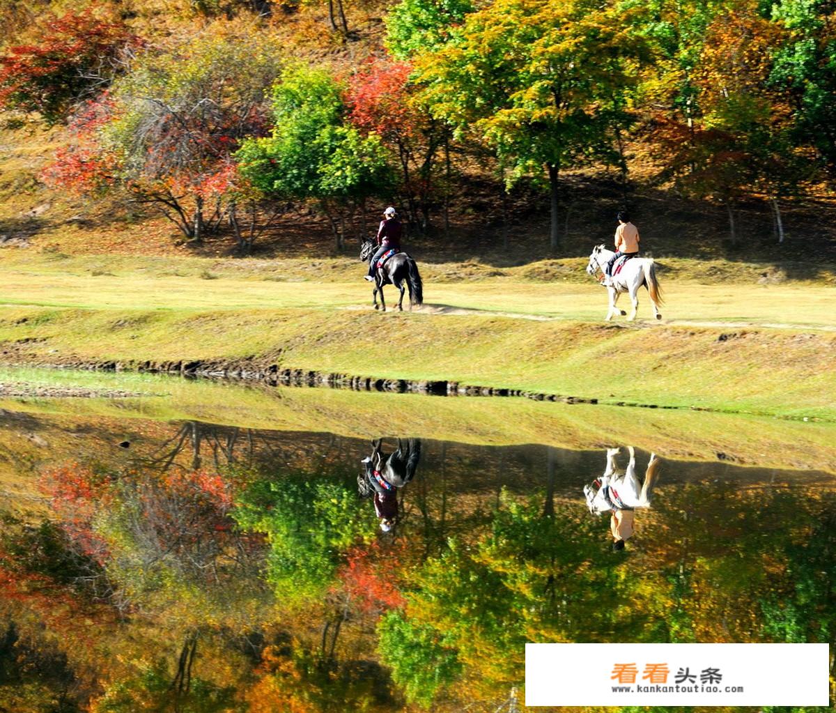 北京自驾草原天路，然后去太仆寺旗好，还是乌兰布统好？有别的合适路线吗