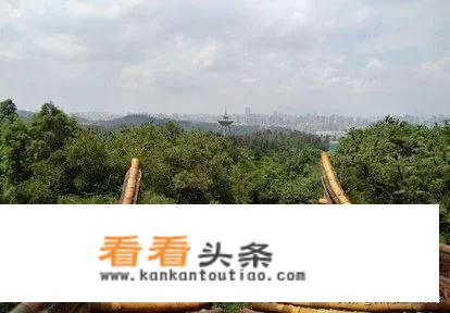 参加“购物团”旅游，如果不买东西的话会有什么后果