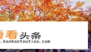 11月份去哪里旅行好？有什么好推荐