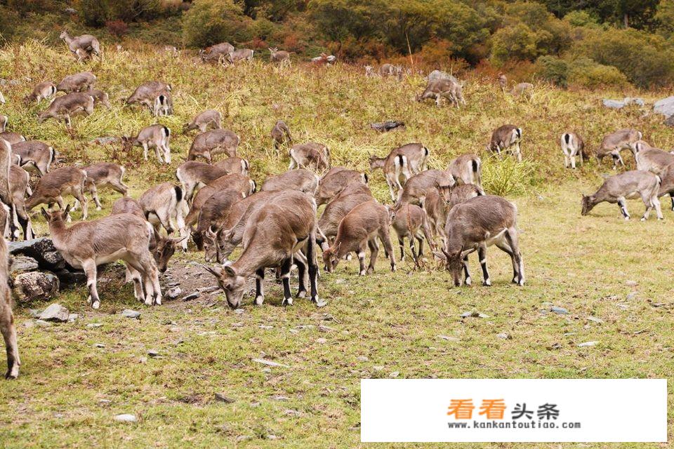 第一次和男友出去旅游要注意什么