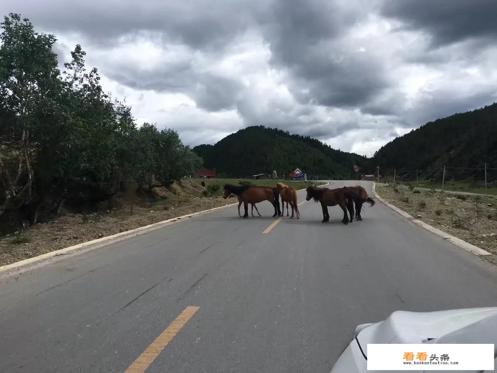 简单实用的床车旅游，还用做保温隔音处理吗