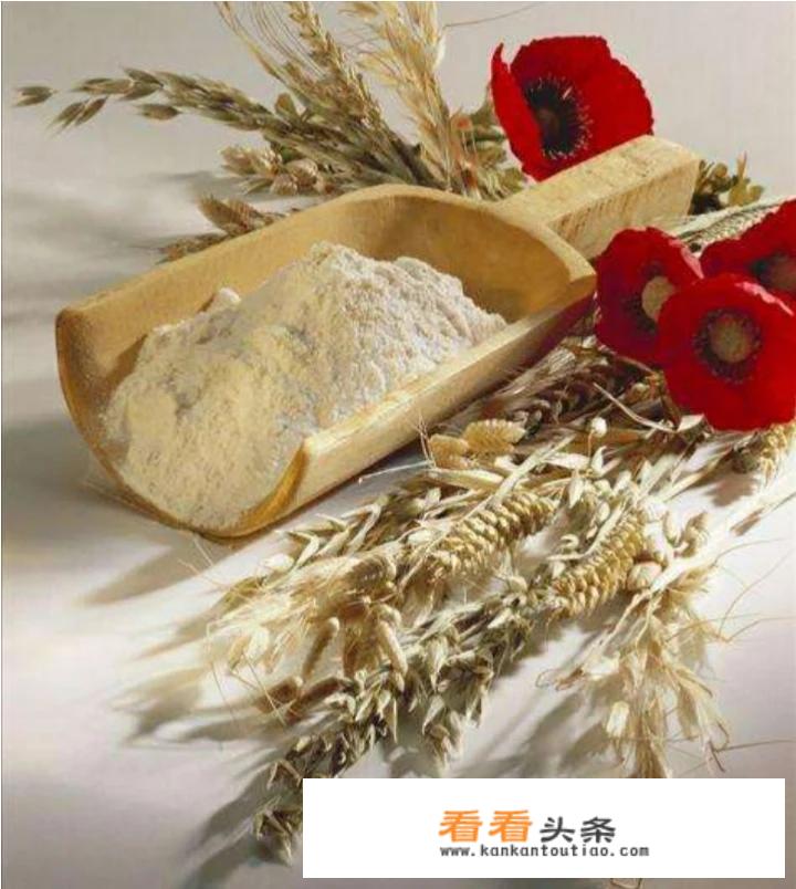 北方春季种什么作物，不用浇水