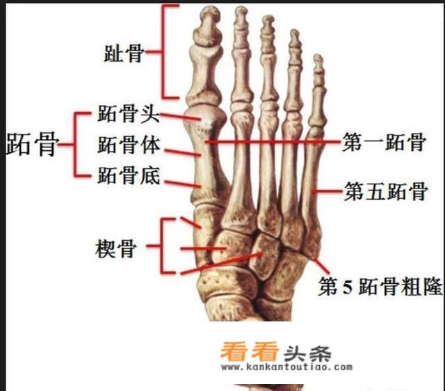 内马尔受伤了？他能赶上与皇马的欧冠吗